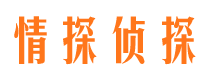 罗山市私家侦探